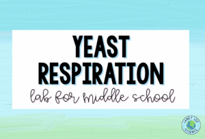 YEAST RESPIRATION LAB