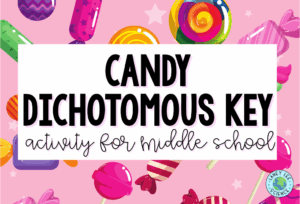 candy dichotomous key activity
