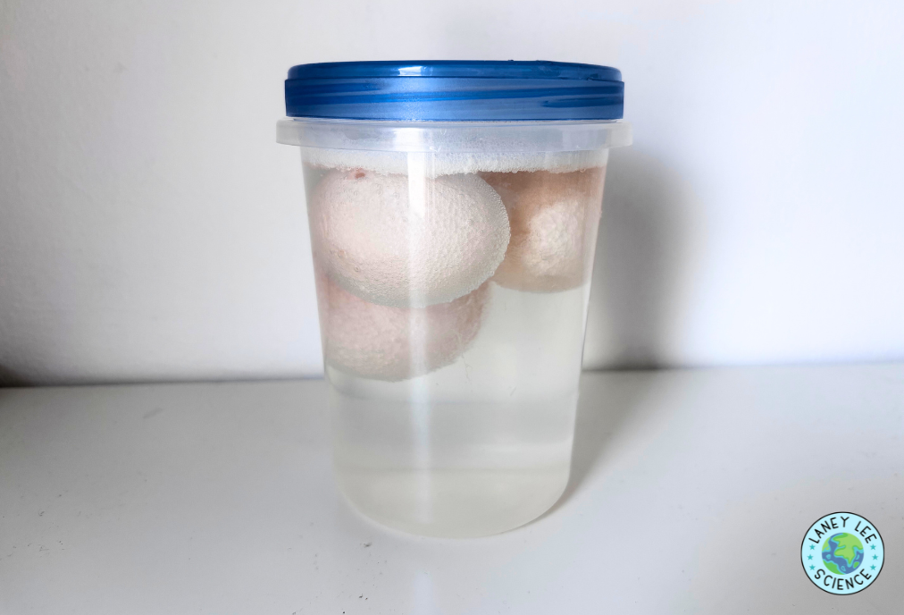 egg osmosis lab