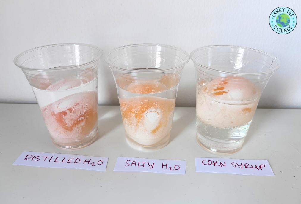 egg osmosis lab