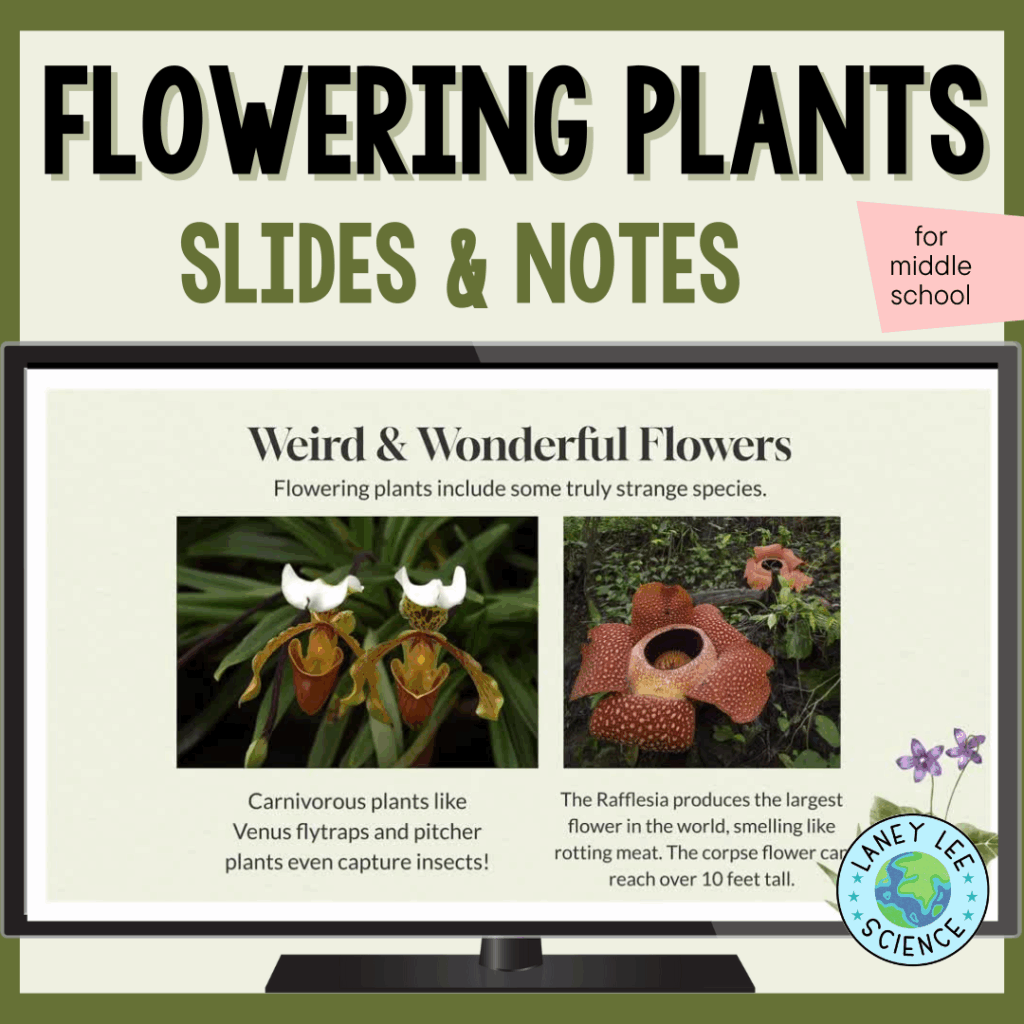 Flowering Plants Presentation and Notes