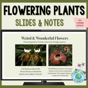 Flowering Plants Presentation and Notes