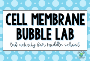 cell membrane bubble lab