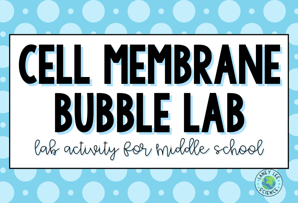 cell membrane bubble lab