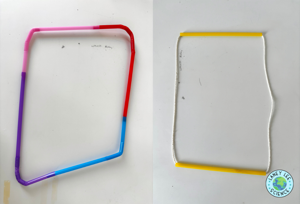 cell membrane bubble lab