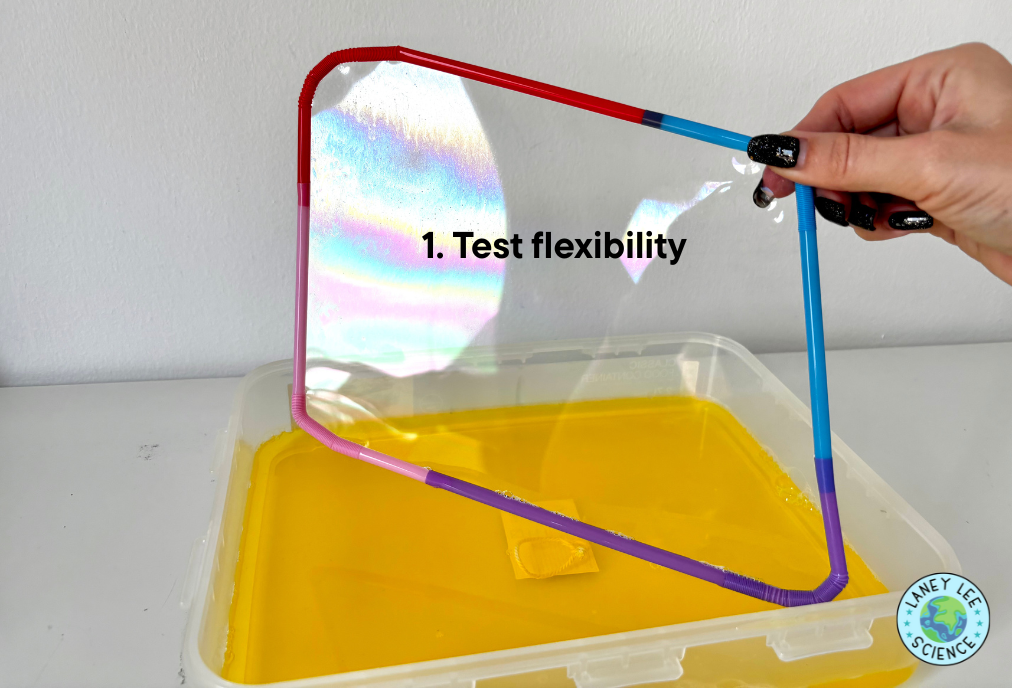cell membrane bubble lab