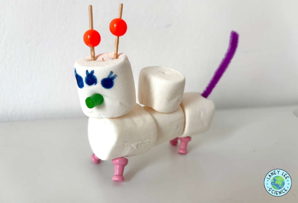 reebop offspring inheritance genetics lab