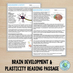 brain development and plasticity reading