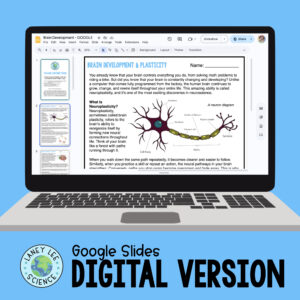 brain development and plasticity reading