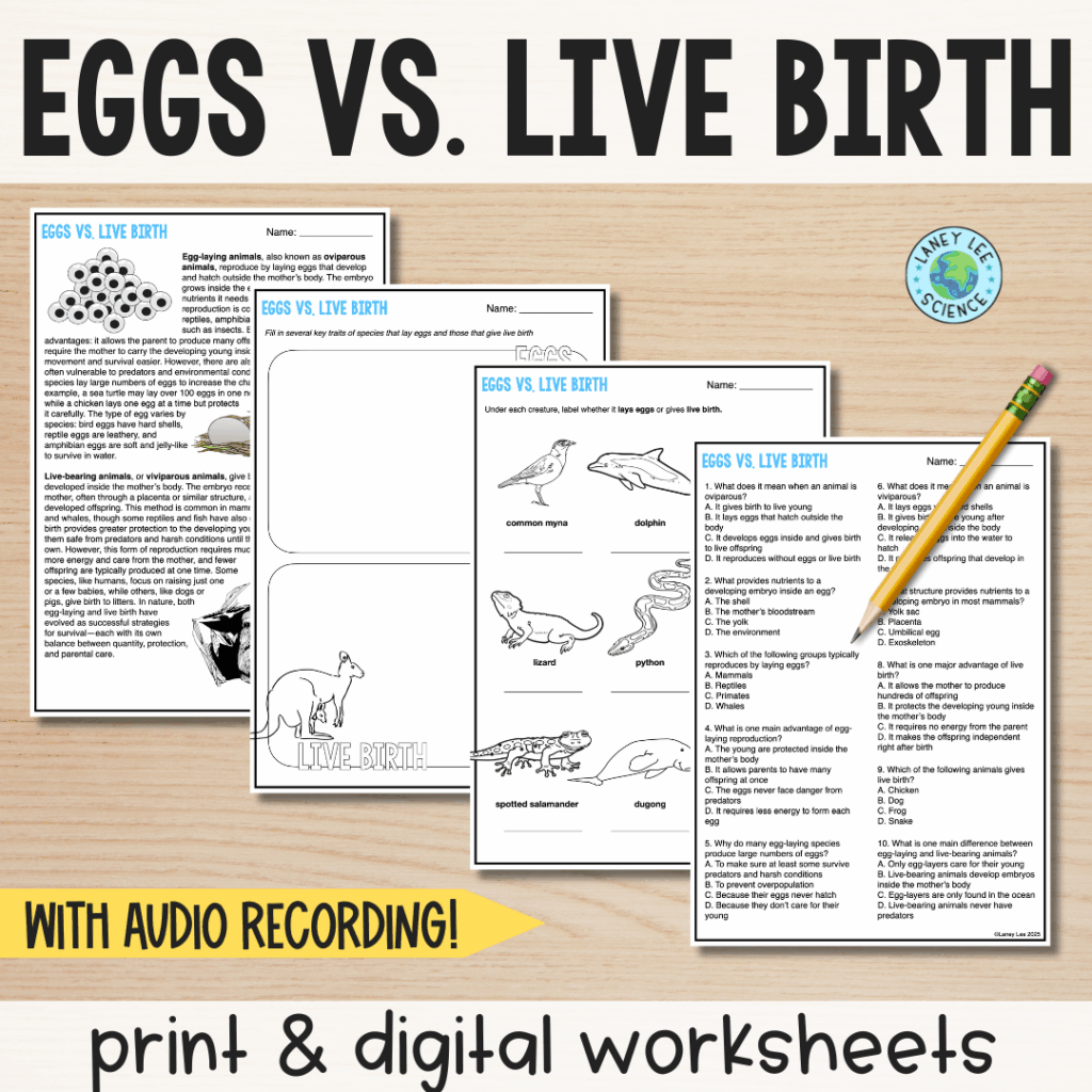 eggs vs. live birth practice Worksheets