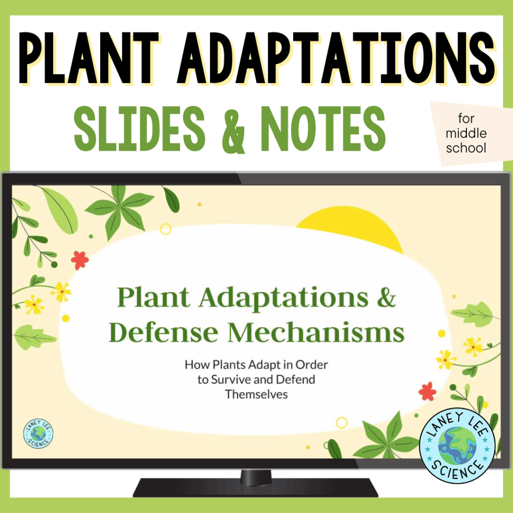 plant adaptations presentation