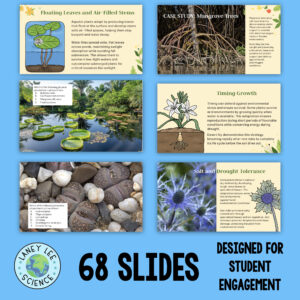 plant adaptations presentation