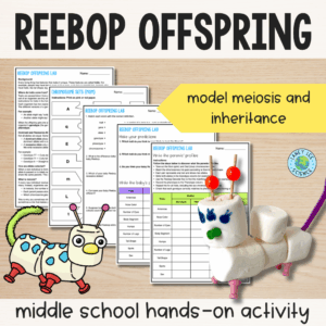 reebop offspring activity
