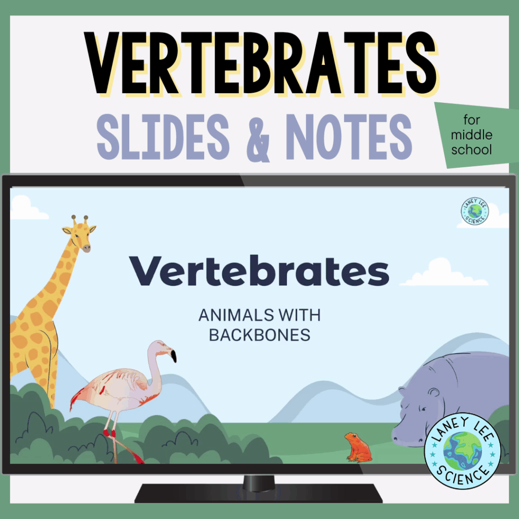 vertebrates presentation