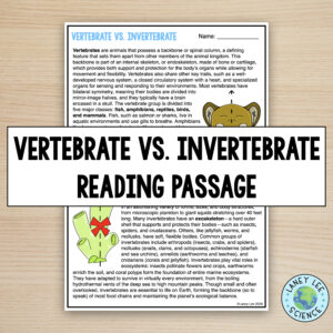 Vertebrates vs. Invertebrates practice worksheets