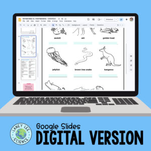 Vertebrates vs. Invertebrates practice worksheets
