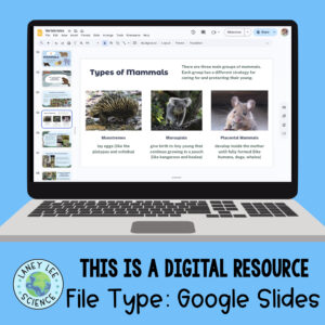 vertebrates presentation google slides