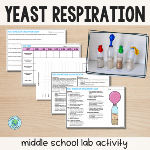 Yeast Respiration Lab