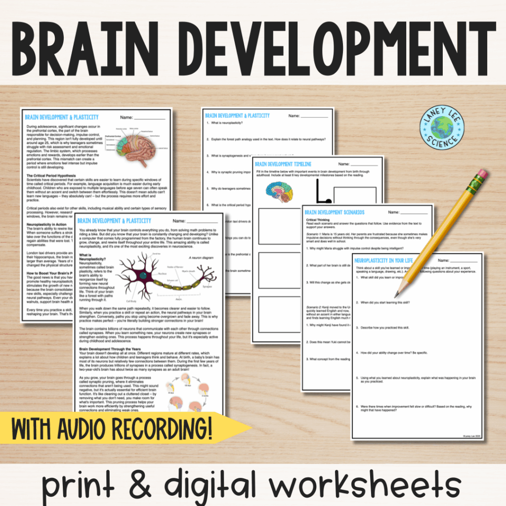 brain development and plasticity reading