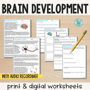 brain development and plasticity reading