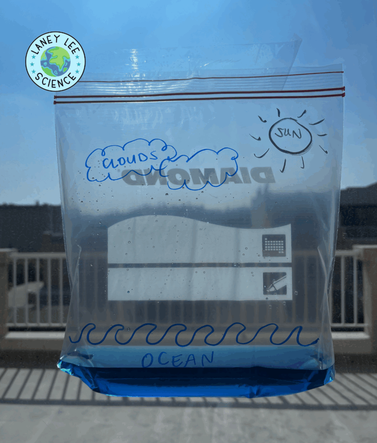 water cycle in a bag