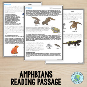 amphibians reading
