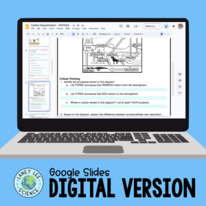 Carbon Sequestration - Reading Comprehension Worksheets