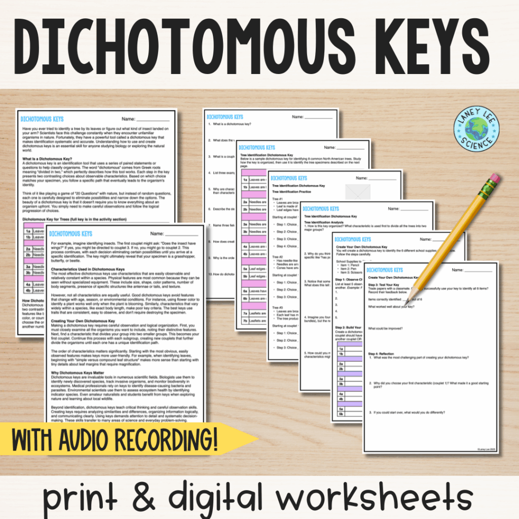 dichotomous keys worksheets