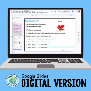 dichotomous keys worksheets
