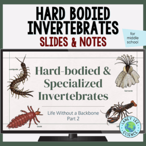 hard-bodied invertebrates