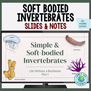 Soft-Bodied Invertebrates Presentation