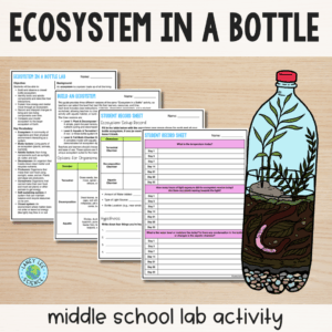 Ecosystem in a Bottle Activity