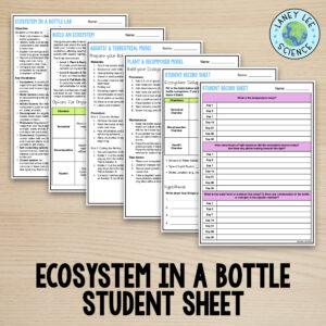 ecosystem in a bottle