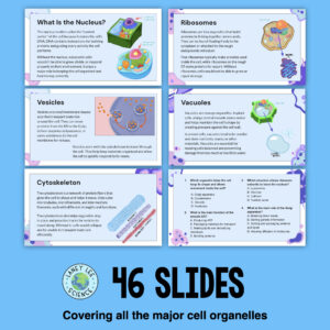 cell organelles presentation