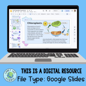 cell organelles presentation