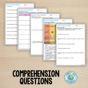 GMOs reading and worksheets