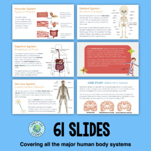 human body systems presentation