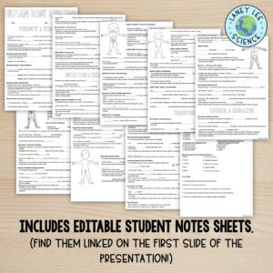 human body systems presentation