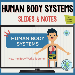 Human Body Systems - Presentation & Notes