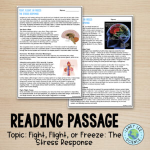 fight flight or freeze worksheets