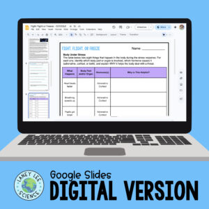 fight flight or freeze worksheets