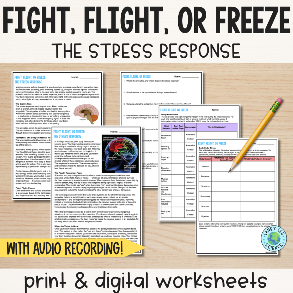fight flight or freeze worksheets