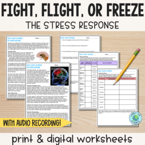 fight flight or freeze worksheets