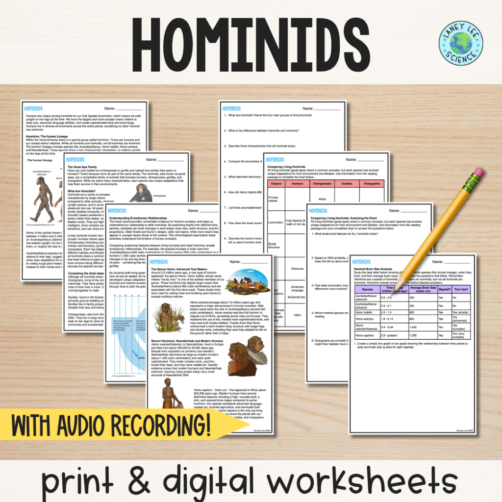 hominids reading