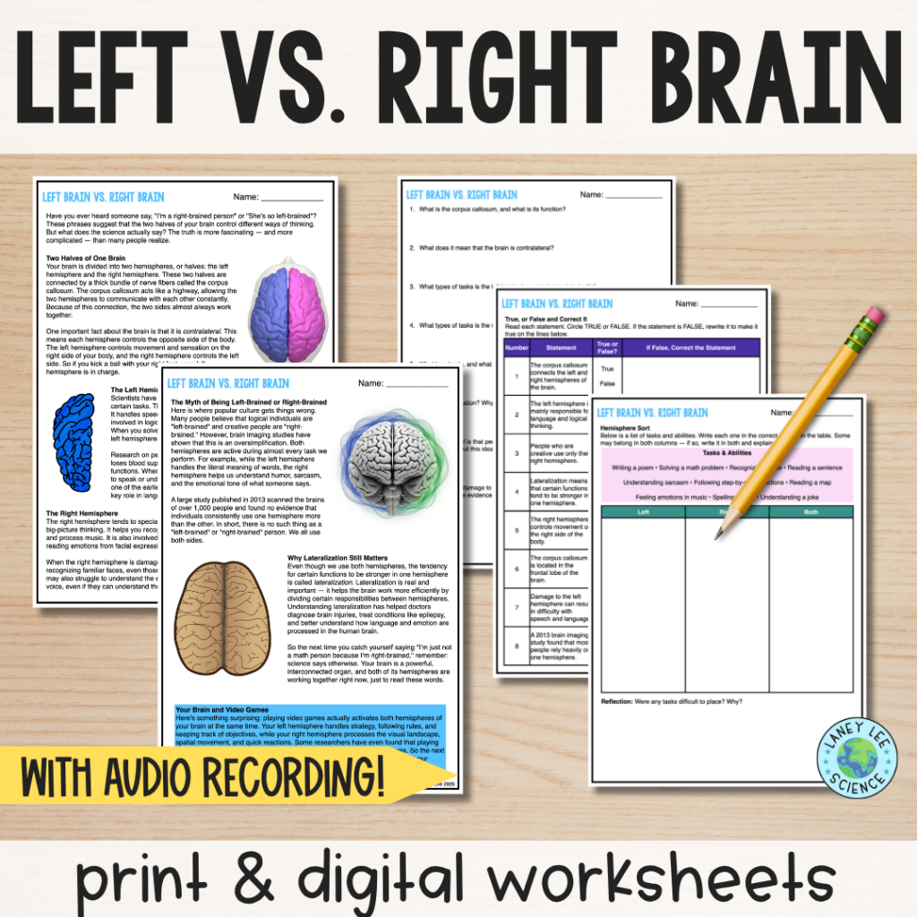 left brain right brain worksheets