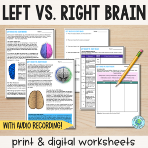 left brain right brain worksheets