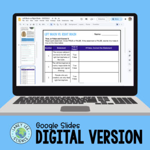 left brain right brain worksheets