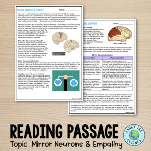 mirror neurons worksheets