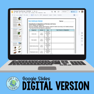 permian period worksheets