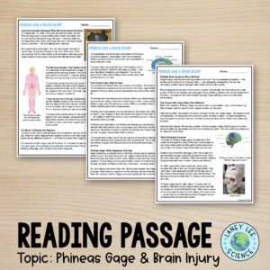 Phineas Gage worksheets